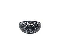 -cactus fruits 29 cm-noir