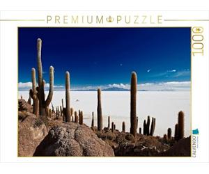 Cactus géants sur Une île dans Le Plus Grand lac de la Terre, Le Salar de Uyuni 1000 pièces Puzzle Paysage