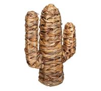 Cactus ""Haci"" jacinthe d eau H35cm - Atmosphera createur d'interieur - Beige moyen