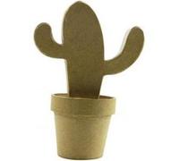 Cactus mexicain - 19cm G