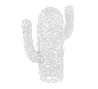 Cactus Mexique Blanc H55