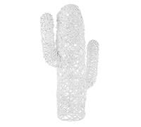 Cactus Mexique Blanc H88