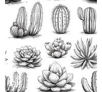 Cactus Plantes Succulentes Papier Peint Épaissir Mat Auto Adhésif 44x200 cm Plantes Dessinées à La Main Meubles Autocollants Amovible Comptoir Contact Papier Stickers Muraux pour Bains Salon Chambre