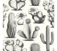 Cactus Plantes Succulentes Papier Peint Épaissir Mat Auto Adhésif 44x200 cm Plantes Dessinées à La Main Meubles Autocollants Amovible Comptoir Contact Papier Stickers Muraux pour Bains Salon Chambre