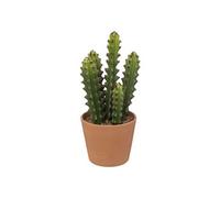 cactus pot terre cuite terra ali 12x30cm - jja 189122 Vert G
