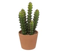 cactus pot terre cuite terra ali 12x30cm - jja 189122 Vert G