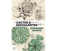 Cactus & succulentes