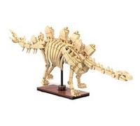 CADA - CREATIVE - squelette de stegosaurus Beige