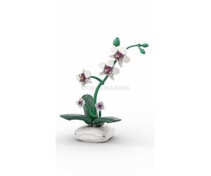 CADA DBLC59028W Lot Orchids - 237 Pièces