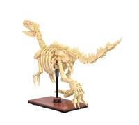 CaDA Velociraptor (256 pièces) - C59014W - Squelette composé de blocs de serrage d'un Velociraptor