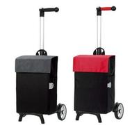 Caddie pour vélo Andersen Unus Fun avec sac Héra ( Gris )