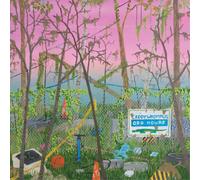 Caddywhompus Odd Hours (Vinyl) 12" Album