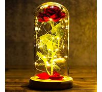Cadeau Anniversaire Femme Rose Eternelle sous Cloche Coffret Cadeau Femme La Belle et la Bête Dôme en Verre avec Lumière LED Cadeau Maman Mamie Soeur Grand Mere Belle Mere Copine Amie Mariage Noel