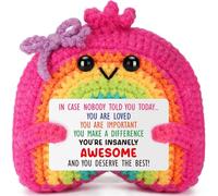 Cadeau arc-en-ciel inspirant pour homme et femme, crochet émotionnel positif fait à la main pour ami, collègue, adolescent, étudiant, cadeau pour se rétablir, se sentir mieux, décoration de Noël