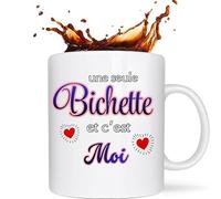 cadeau Bichette - Mug Bichette , tasse Bichette Originale ,cadeaux pour Femmes - tasse a cafe original -mug personnalisé tutrice- tasse rigolote -idee cadeau Femme, seule bichette et c'est moi