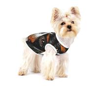 Cadeau Chien Cavalier King Charles Spaniel,T-Shirt sans Manches en Coton pour Animaux de Compagnie, Gilet Respirant, Extensible et Doux,S