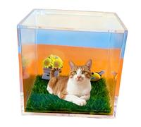 Cadeau commémoratif pour chat pour la perte de chat, projection holographique numérique holographique pour animal de compagnie, ornements commémoratifs à haute transmission de la lumière, matériau de