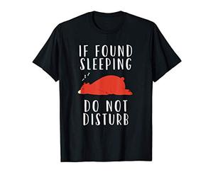 Cadeau d'amour pour dormir Ours plat Dormir ne dérange pas T-Shirt