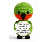 Cadeau d'anniversaire en forme de colibri fait à la main - « I Hope All the Good Birds Visit Your Feeder » - Cadeau amusant pour les amateurs d'oiseaux, les amis, la famille ou les collègues