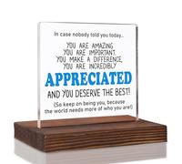 Cadeau de reconnaissance pour femmes, hommes, amis, « In Case Nobody Told You Today », panneau « In Case Nobody Told You Today », cadeau inspirant pour les bénévoles, plaque de bureau en acrylique