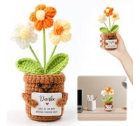 Cadeau de remerciement - Pomme de terre positive - Porte-bonheur allemand - Petite fleur positive - Petit cadeau de remerciement pour les amis, les collègues et la famille - Poupée de fleurs