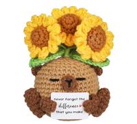 Cadeau de remerciement positif au crochet sur le thème du Capy Bara Pot Never Forget The Difference That You Make Emotional Support Cadeau pour collègues, femmes, hommes, enseignants, employés