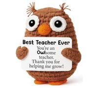 Cadeau de remerciement pour enseignant, collègue, mentor, hibou positif au crochet pour anniversaire, remise de diplôme, retraite, départ à la retraite, cadeau de semaine pour enseignants, chouette