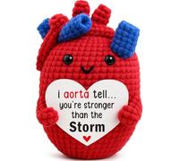 Cadeau d'encouragement - Cœur en crochet fait à la main « You're Stronger Than the Storm », cadeau inspirant You Got This Gift pour amis, collègues, patron, enseignant, anniversaire, Noël