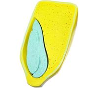 Cadeau d'enseignement des Sciences biologiques, modèle d'anatomie Anatomique des graines de maïs, modèle d'endosperme du Pelage, Structure Interne et Externe du modèle de Grain de maïs