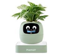 Cadeau d'été pour embellir votre intérieur - Pot de plante intelligent IA Ivy, interaction par expressions faciales, entretien intelligent des plantes, décoration pour personnes occupées, exprime les 