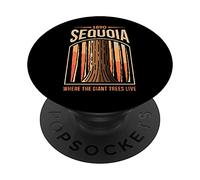 Cadeau du parc national américain Sequoia California PopSockets PopGrip Interchangeable