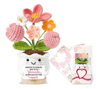 Cadeau Femme Cadeaux Anniversaire Femme Original Utile Fleur Crochet Idee Cadeaux Maitresse D'école Atsem Fille Soeur Nounou Personnalisé Decoration Maison Chambre Cadeau Mariage Noel Saint Valentin