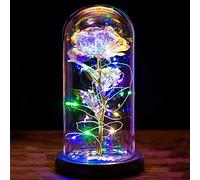 Cadeau Femme Rose Eternelle sous Cloche La Belle et la Bête Rose Enchantée Dôme en Verre avec Lumières LED Cadeau Anniversaire Femme Maman Nounou Mamie Couple Soeur Amie Mariage Noel Fleur Eternelle