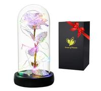 Cadeau Fete des Meres Roses eternels La Belle et la Bête Élégant Dôme en Verre avec Lumières LED Pine Base, Magic Décor Cadeaux pour Saint Valentin Fête Anniversaire Mariage Rose