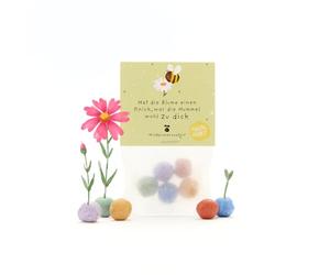 Cadeau humoristique : 5 billes de fleurs colorées | Bombes de graines colorées avec graines de fleurs sauvages | Comme remerciement, cadeau d'invité et petites salutations pour les jardiniers | 100