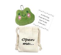 Cadeau inspirant pour la famille, les amis, les proches et les collègues (grenouille)