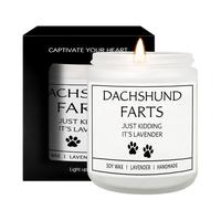 Cadeau Maitresse Bougie Parfumées Femme Homme Propriétaire De Chien Anniversaire Maitre Nounou Collegue Maman Meilleure Amie Bougies Merci Cadeaux Soeur Parfumée Lavande Parfum Pot En Verre Dachshund