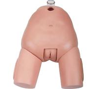 Cadeau médical, modèle de formation de la vessie, modèle d'anatomie génitale féminine, mannequin remplaçable, outil pédagogique d'urologie, affichage d'apprentissage et objets de collection.