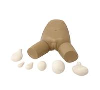 Cadeau médical, modèle d'examen et d'évaluation du fond utérin avec 5 utérus interchangeables, modèle d'anatomie utérine féminine pour la formation médicale.