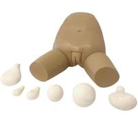 Cadeau médical, modèle d'examen et d'évaluation du fond utérin avec 5 utérus interchangeables, outil pédagogique gynécologique for les démonstrations en e sciences et de formation.