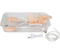Cadeau médical, simulateur de formation d'urostomie collante, modèle urinaire de mannequin, modèle de formation de simulation d'urétéroscopie, modèle de rein en silicone for infirmière