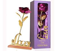 Cadeau Noel Femme Rose Eternelle Coffret Cadeau Anniversaire Femme Fleur de Rose en Or Fleur Eternelle Cadeau Maman Noel Mamie Grand Mere Soeur Belle Mere Nounou Anniversaire Mariage Saint Valentin