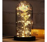 Cadeau Noel Femme Rose Eternelle sous Cloche Coffret Cadeau Femme La Belle et la Bête Rose Dôme en Verre avec Lumières LED Cadeau Noel Maman Mamie Grand Mere Soeur Nounou Copine Anniversaire Mariage