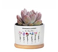 Cadeau personnalisé pour la fête des mères, Pot de Fleurs du Mois de Naissance, Pot de Fleurs du Jardin de Grand-mère, Pot de succulentes du Jardin de Maman avec Fleur du Mois de Naissance