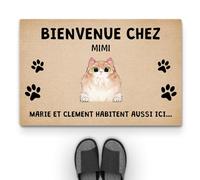 Cadeau Plus Tapis Personnalisé Paillasson - Les Chats vivent Ici Aussi - Tapis personnalisé entrée, Paillasson Entree (1 Chat)