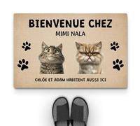Cadeau Plus Tapis Personnalisé Prénom - Bienvenue chez - Paillasson Personnalisé, Paillasson Entree, Tapis personnalisé entrée (#2)
