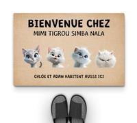 Cadeau Plus Tapis Personnalisé Prénom - Bienvenue chez - Paillasson Personnalisé, Paillasson Entree, Tapis personnalisé entrée (#4)