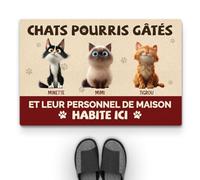 Cadeau Plus Tapis Personnalisé Prénom - Gâté Pourri - Paillasson Personnalisé Animaux, Paillasson Entree, Tapis personnalisé entrée, paillasson Interieur personnalisé (#3)