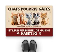 Cadeau Plus Tapis Personnalisé Prénom - Gâté Pourri - Paillasson Personnalisé Animaux, Paillasson Entree, Tapis personnalisé entrée, paillasson Interieur personnalisé (#5)