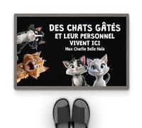 Cadeau Plus Tapis Personnalisé Prénom - Gâté Pourri - Paillasson Personnalisé, Paillasson Entree, Tapis personnalisé entrée, paillasson Interieur personnalisé (#4)